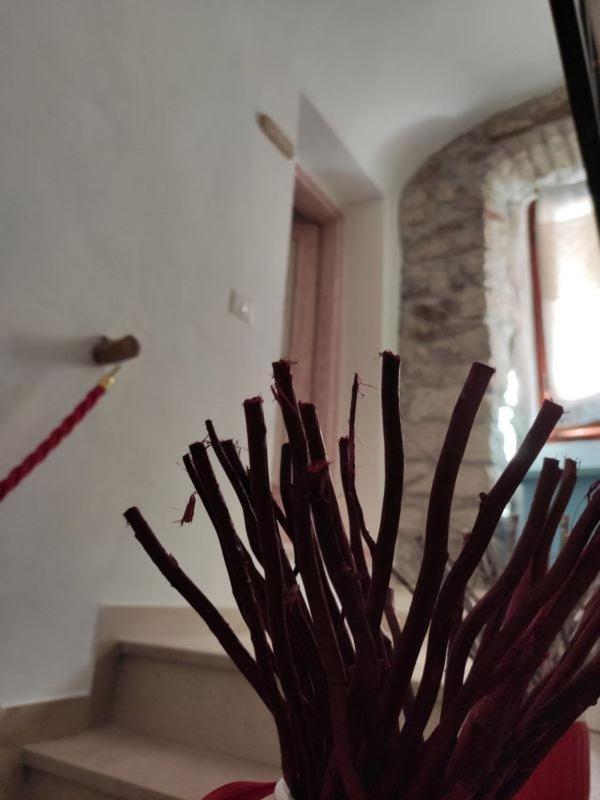 בוסה Regnos Altos Boutique Rooms מראה חיצוני תמונה
